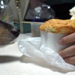 【車中泊】ハイエースでの初車中泊旅 琵琶湖へ（朝の湖岸編）